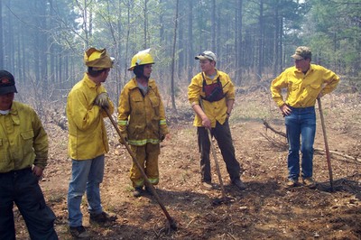 People wearing yellow fire fighter suits standing in a forest. People wearing yellow fire fighter suits standing in a forest.