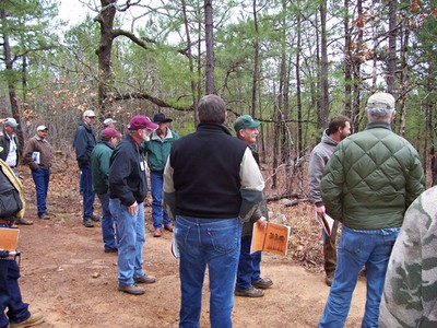 A group of people standing in a forest. A group of people standing in a forest.