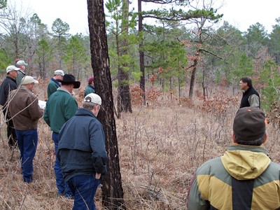 A group of people standing in the woods while a person looks at a tree. A group of people standing in the woods while a person looks at a tree.