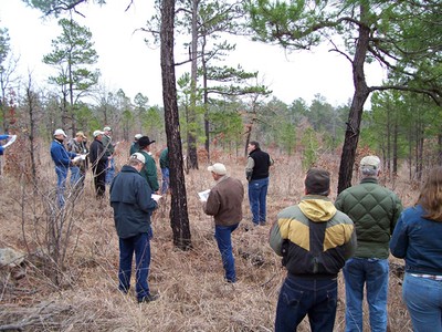 A group of people looking at a burn plot. A group of people looking at a burn plot.