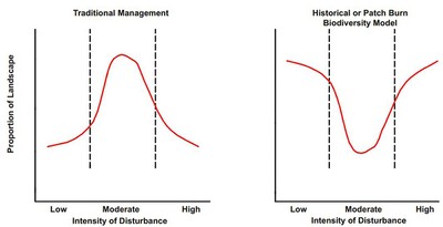 Biodiversity & the Fire-Grazing Interaction | Oklahoma State University