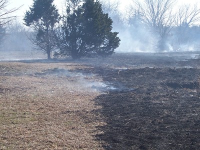 A field with dry grass and burned grass. A field with dry grass and burned grass.