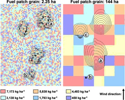 A map showing an area of land with a fuel patch grain at 2.25 ha and 144 ha wit red representing 7,173 kg ha-1, light blue representing 3,138 kg ha-1, orange representing 5,838 kg ha-1, teal representing 1,793 kg ha-1, yellow representing 4,483 kg ha-1 and purple representing 458 kg ha-1. A map showing an area of land with a fuel patch grain at 2.25 ha and 144 ha wit red representing 7,173 kg ha-1, light blue representing 3,138 kg ha-1, orange representing 5,838 kg ha-1, teal representing 1,793 kg ha-1, yellow representing 4,483 kg ha-1 and purple representing 458 kg ha-1.