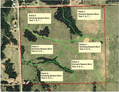 An aerial map of a patch burning example. Patch 1 is a dormant season burn in year 1, 4 and 7; patch 2 is a growing season burn in year 1, 4 and 7; patch 3 is a dormant season burn in year 2, 5 and 8; patch 4 is a growing season burn in year 2, 5 and 8; patch 5 is a dormant season burn in year 2, 5 and 8 and patch 6 is a growing season burn in year 3, 6 and 9. An aerial map of a patch burning example. Patch 1 is a dormant season burn in year 1, 4 and 7; patch 2 is a growing season burn in year 1, 4 and 7; patch 3 is a dormant season burn in year 2, 5 and 8; patch 4 is a growing season burn in year 2, 5 and 8; patch 5 is a dormant season burn in year 2, 5 and 8 and patch 6 is a growing season burn in year 3, 6 and 9.