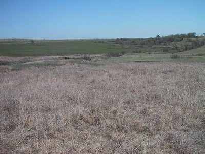 A pasture with dry grass and green grass.