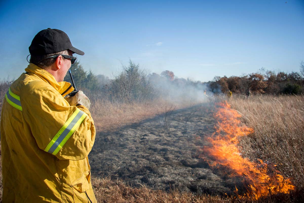 Fire Ecology | Oklahoma State University