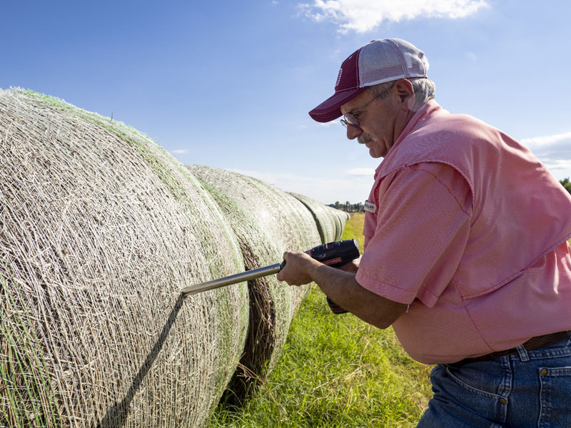 A man is drilling in a hay bale for testing