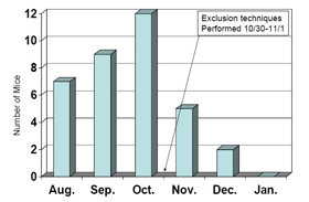 Figure 3. Ground beetle reductions at school No. 2 in 2006-2007. Figure 3. Ground beetle reductions at school No. 2 in 2006-2007.
