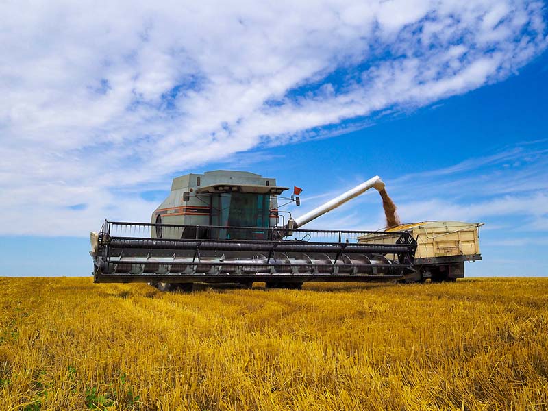 integrated-pest-management-oklahoma-state-university