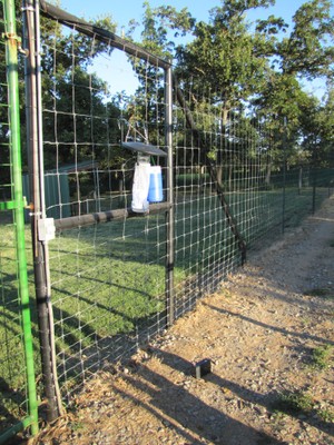 A clear bag trap connected to a light and fan haning on a fence next to a blue thermus cooler. A clear bag trap connected to a light and fan haning on a fence next to a blue thermus cooler.