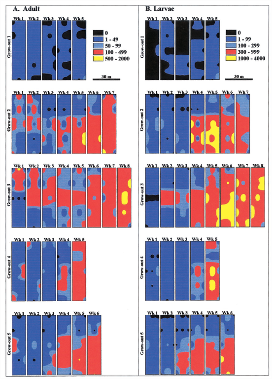 Graphs of adult and larval populations Graphs of adult and larval populations