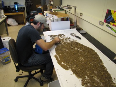 A man manually sifting through dirt on a large white table. A man manually sifting through dirt on a large white table.