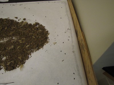 A close-up of dirt on alarge white table A close-up of dirt on alarge white table