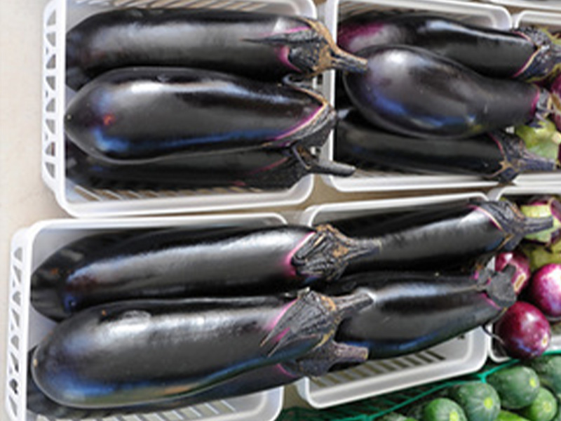 Several large purple eggplants in white baskets.