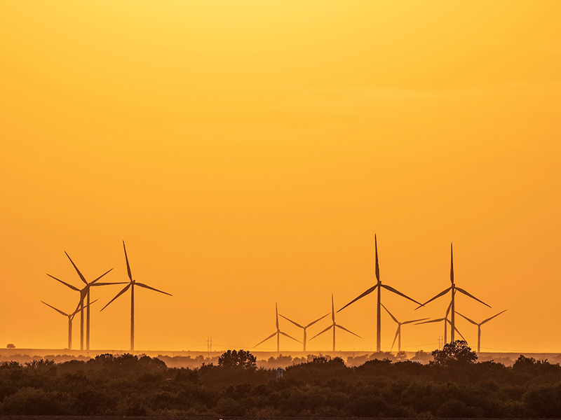 A field with windmills at sunset.