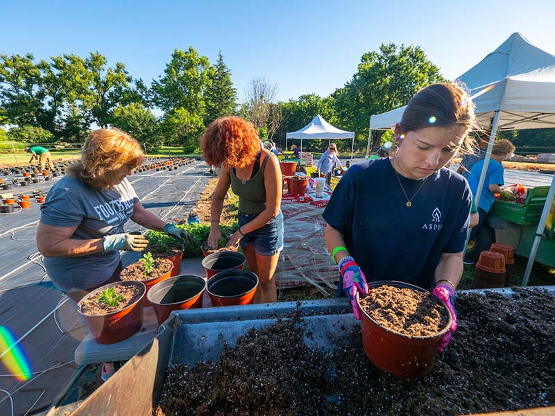 Container Gardening  Oklahoma State University