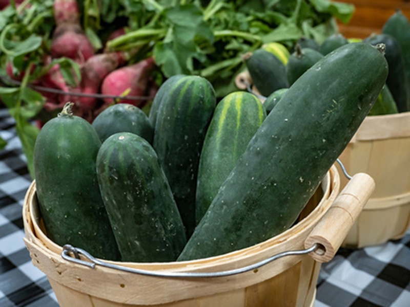 Cucumbers in a basket.