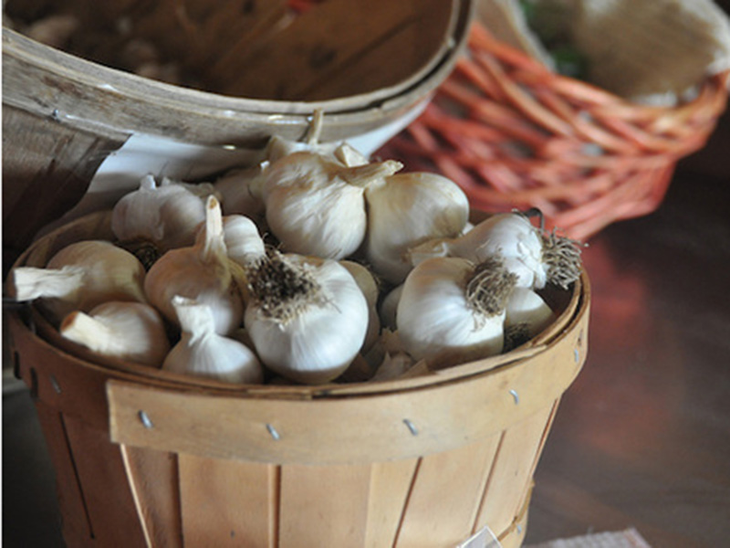 Many garlic bulbs in a wooden basket.