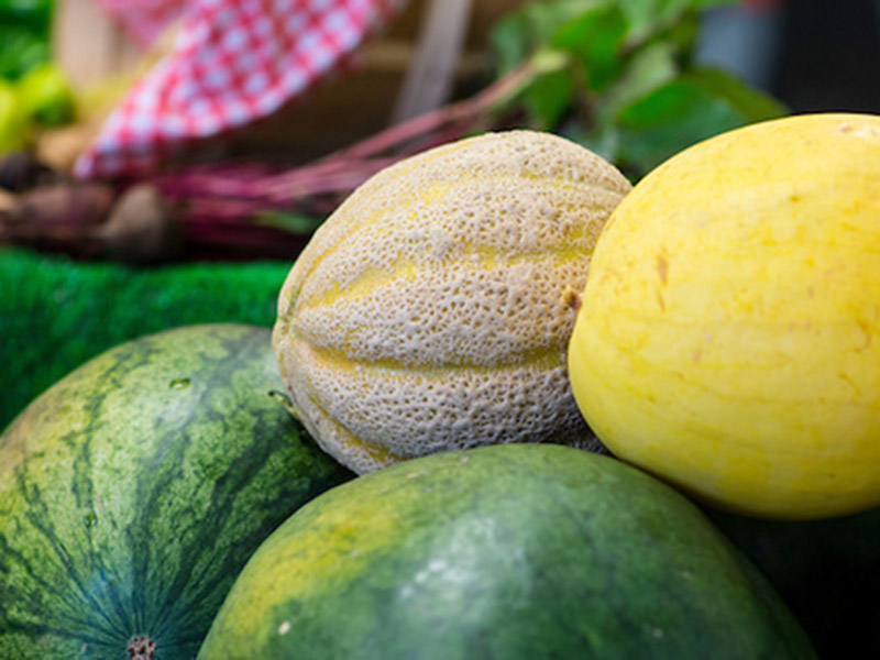 A watermelon, cantaloupe, and honeydew melon all gathered together.