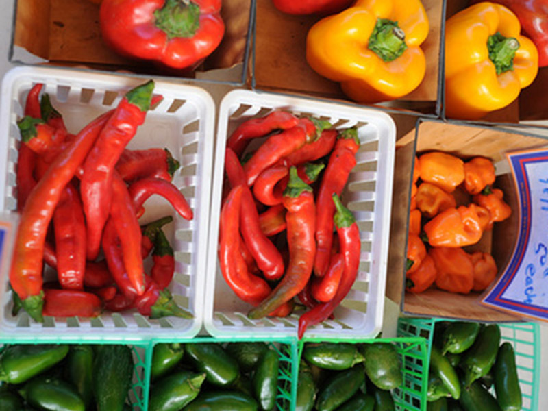Chili peppers, jalapeno peepers and bell peppers in small white baskets.