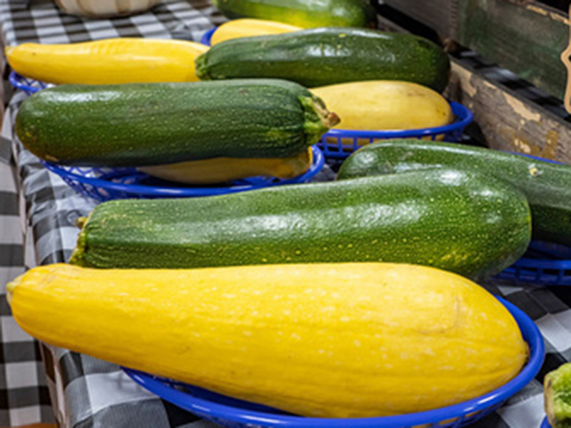 Zucchini and Yellow squash in baskets on a table.