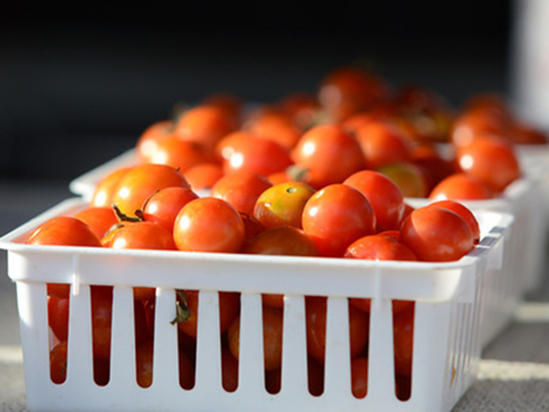 Cherry tomatoes in a white basket.