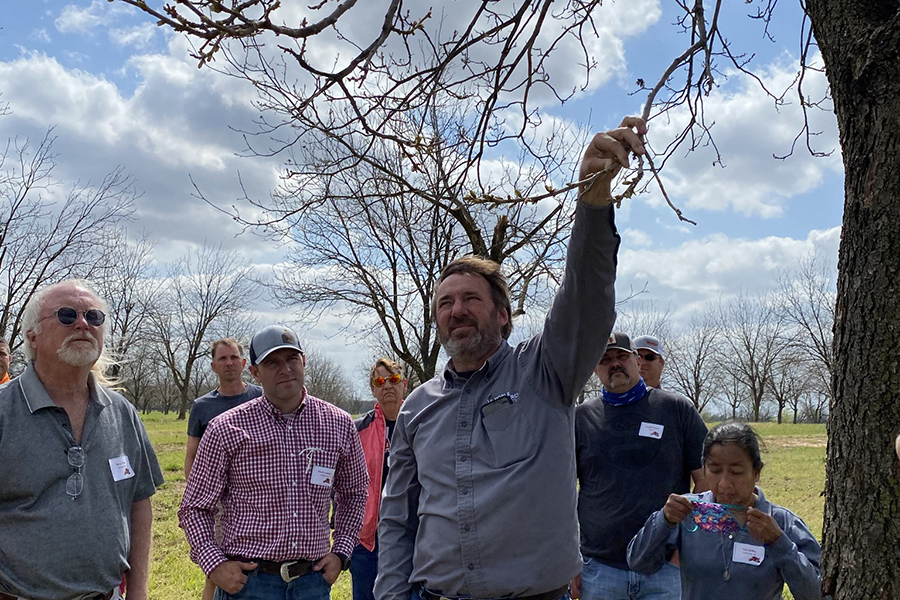 Instruictor holding a branch for show