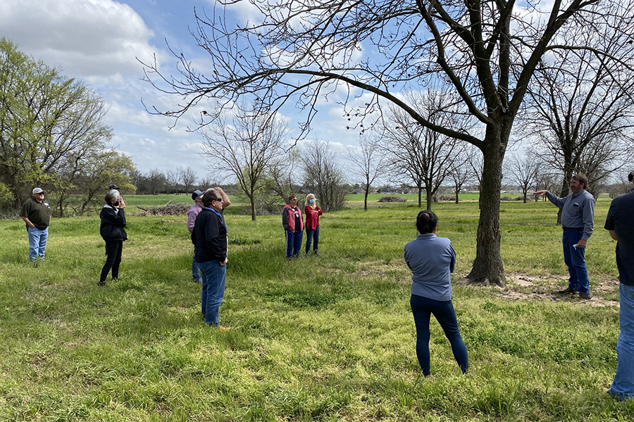 Students spread out around a pecan tree