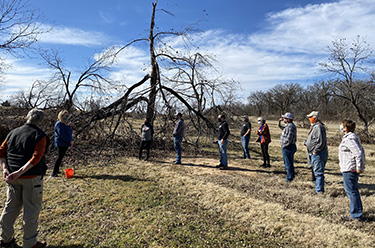 Student out in a field with a damaged tree
