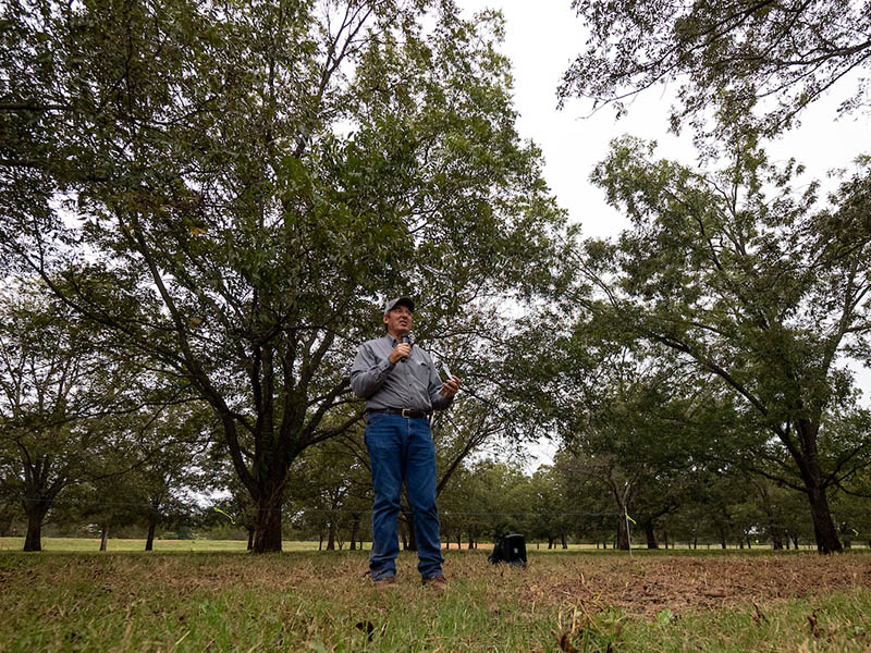 A man holding a microphone speaking to field day attendees in a pecan tree field.