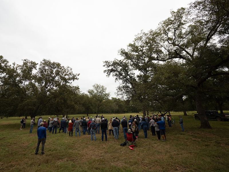 The 2023 Native Pecan Harvest Field Day attendees standing on the field at Leon Bailey's Pecan Farm.