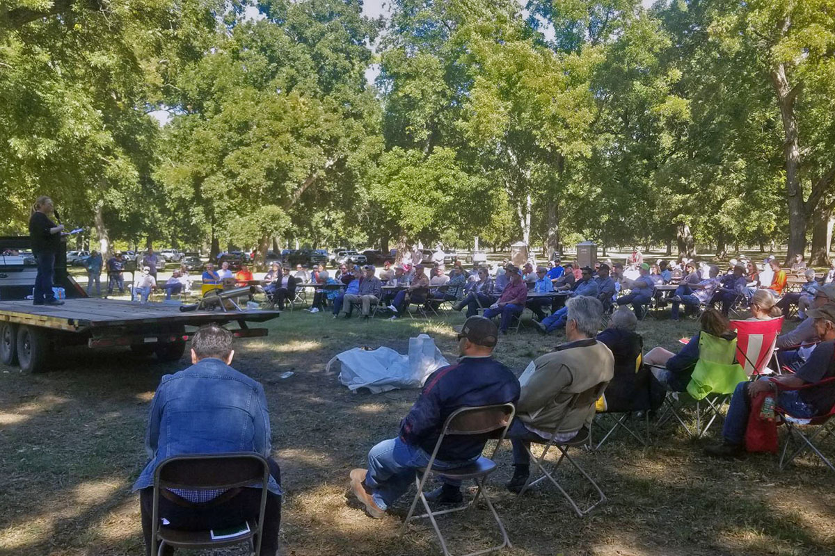 Oklahoma Pecan Management | Oklahoma State University