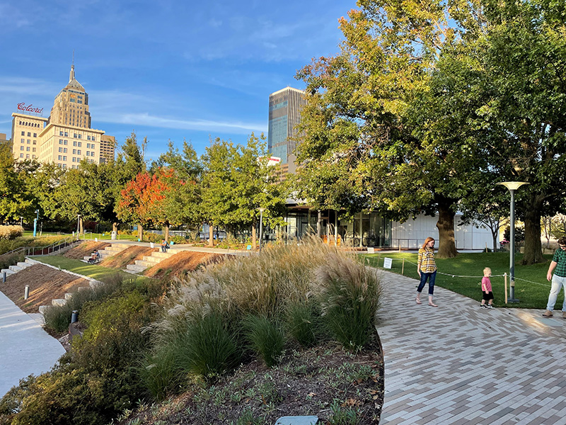 Shumard Oak trees growing along the sidewalk.