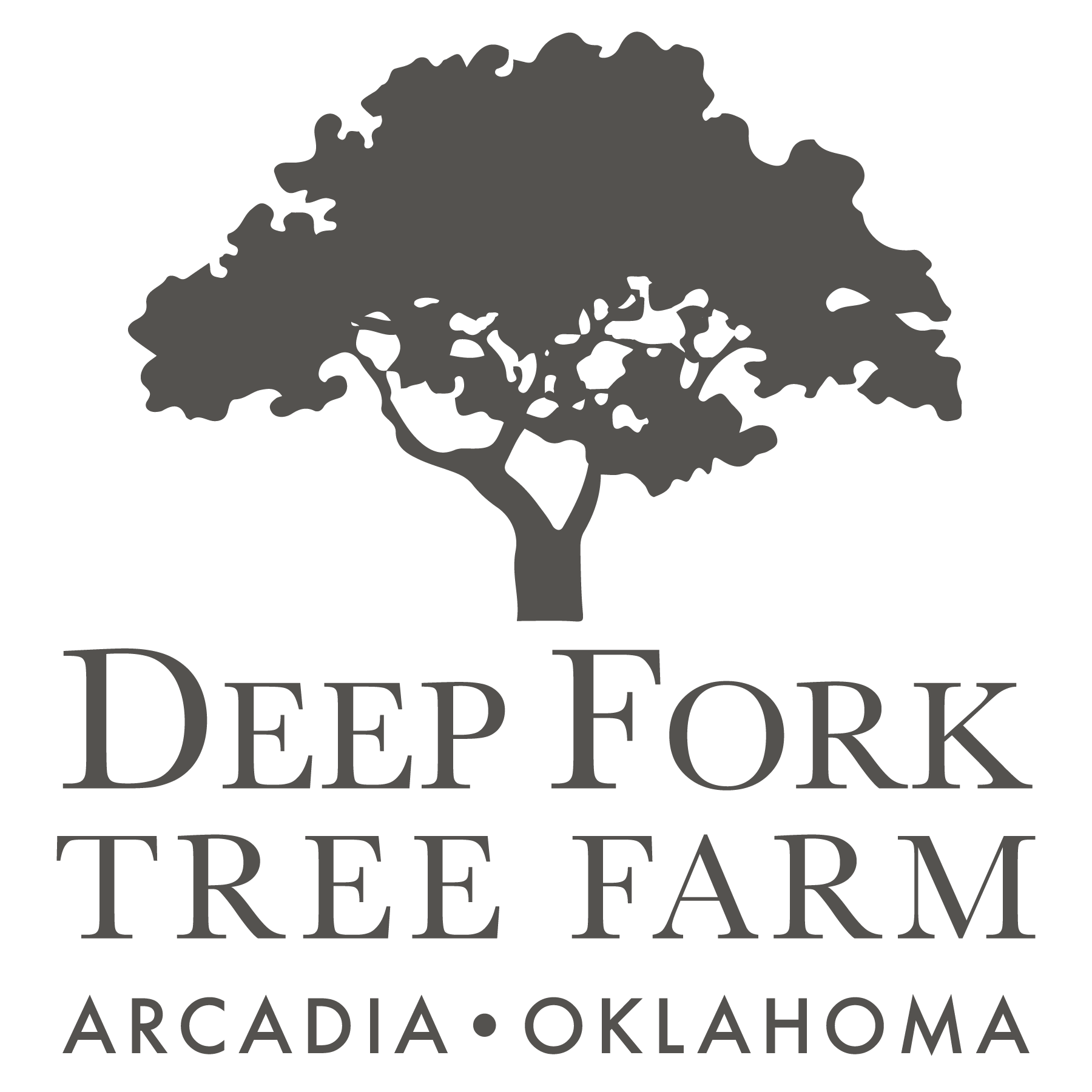 Deep Fork Tree Farm logo in gray with a tree.