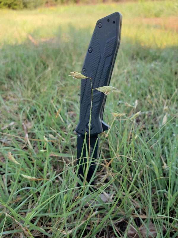 Very short grass, <6 inches tall