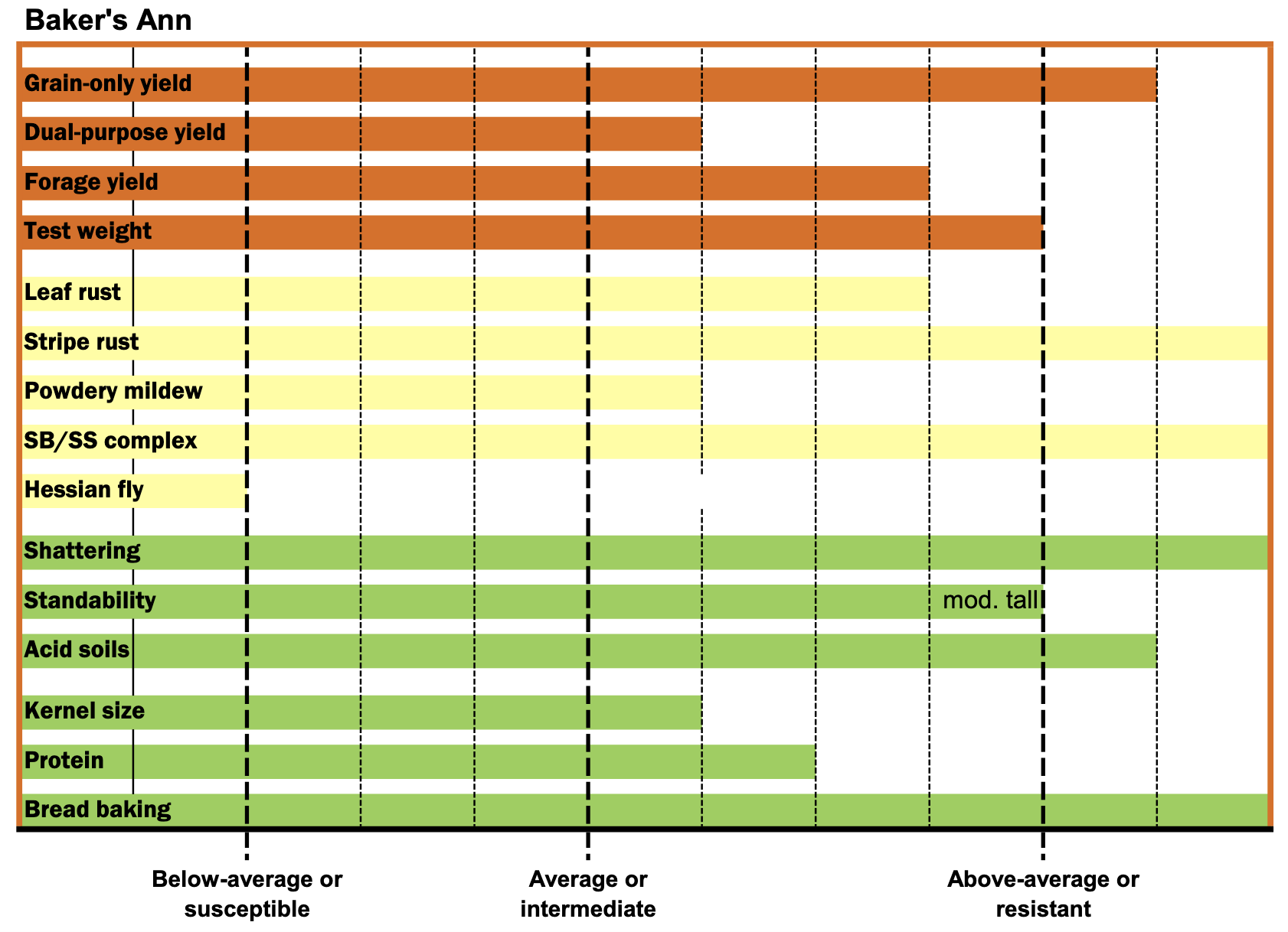 The key characteristics of Baker's Ann.