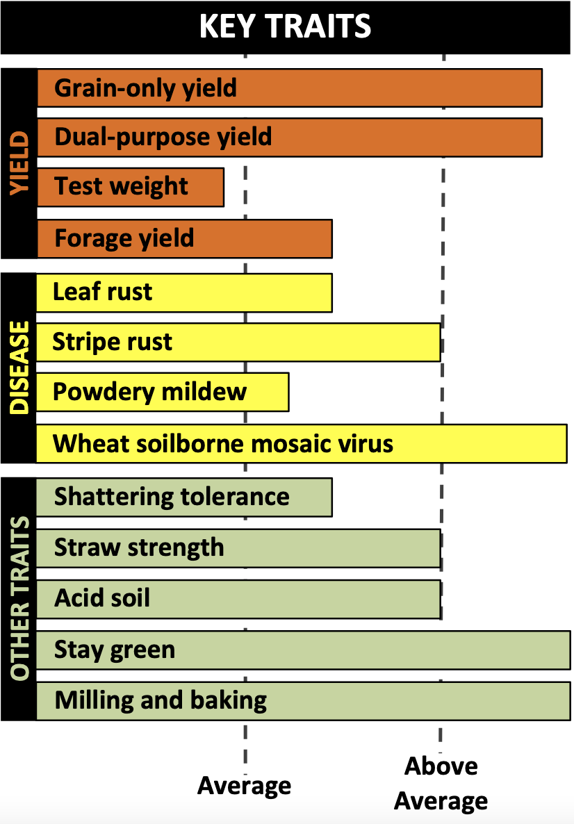 A graph of the key traits, including disease characteristics, yield characteristics, straw strength and shattering tolerance of Bentley wheat.