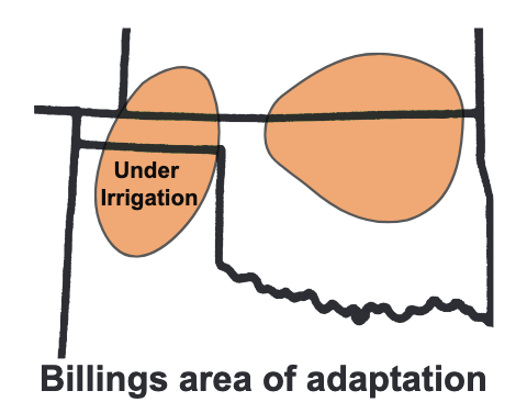 Billings area of adaptation.