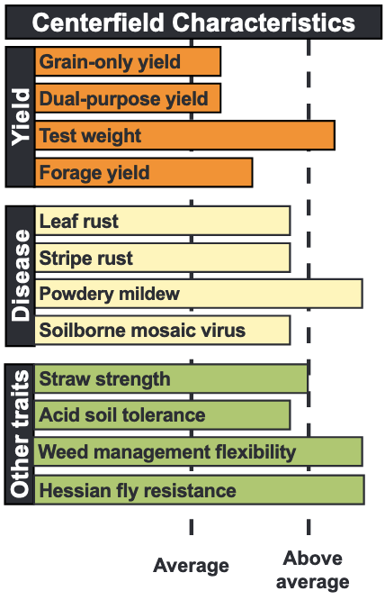The characteristics of Centerfield wheat.