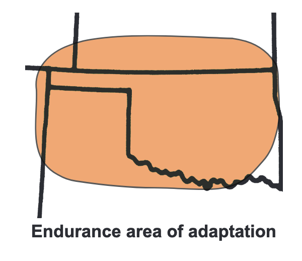 Endurance area of adaptation.