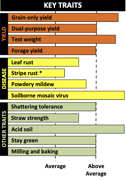 A graph showing the key yield traits, disease traits and other traits such as shattering tolerance and straw strength.