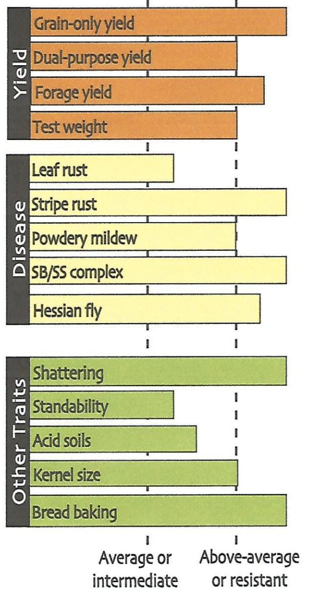 Key traits of Smith's Gold wheat.