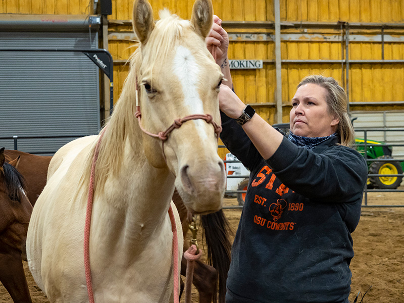 Donna Patterson tending to a horse.