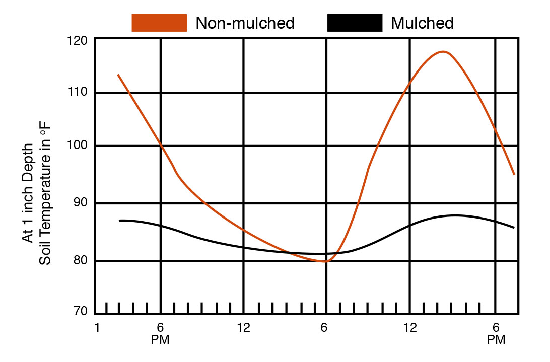 Graph representing mid-summer temperature differences between non-mulched and mulched plots measured one inch deep soil.