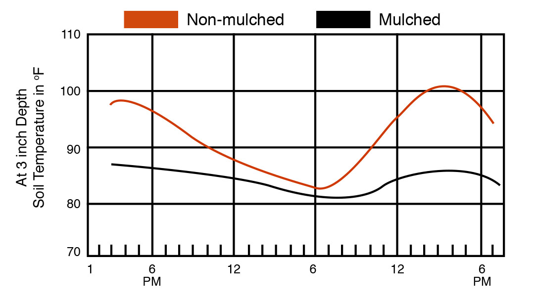 Chart representing mid-summer temperature differences between non-mulched and mulched plots measured three inches deep in soil.