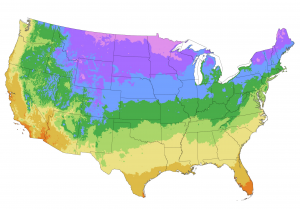 Hardiness Zone Map of the USA
