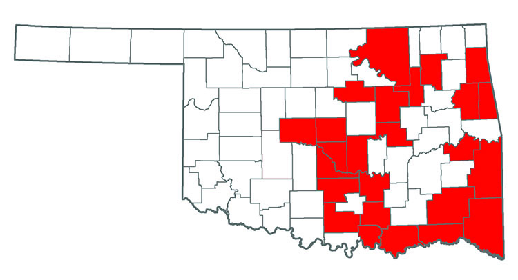 Oklahoma map showing where Kudzu is located.