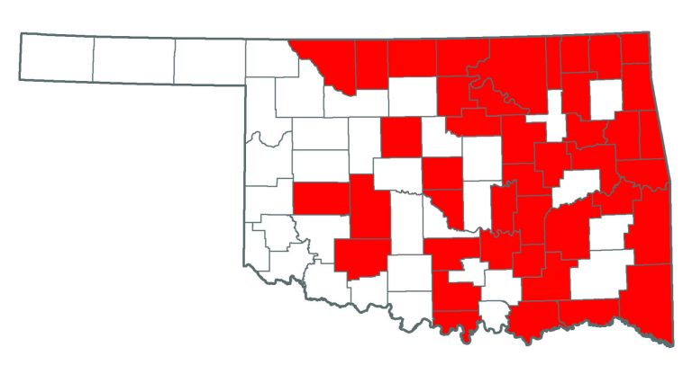 Map of Oklahoma showing where you can find Multiflora Rose.