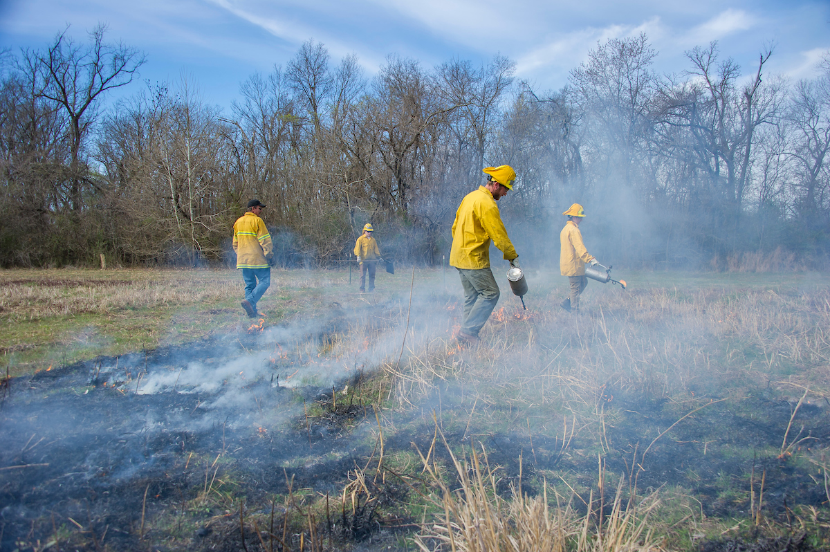 A group of people observing and helping with a prescribed burn.