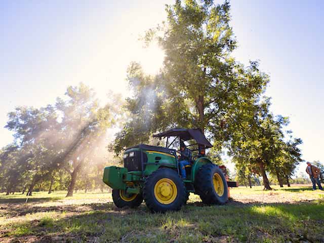 A tractor parked under a tree in a field.